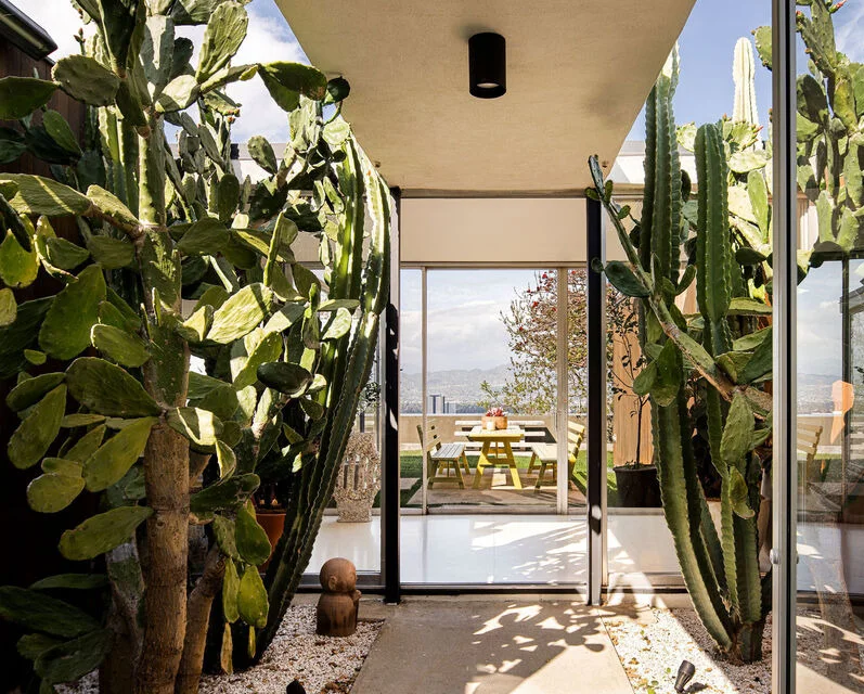 The cactus court between the rooms, glass on both sides.