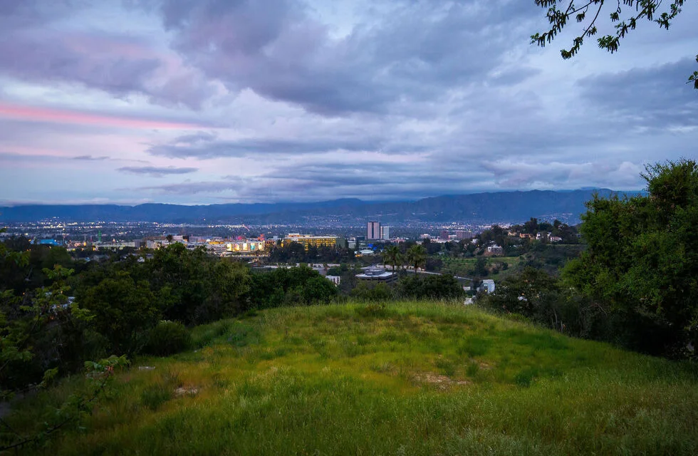 The meadow of the second parcel, the city beyond.